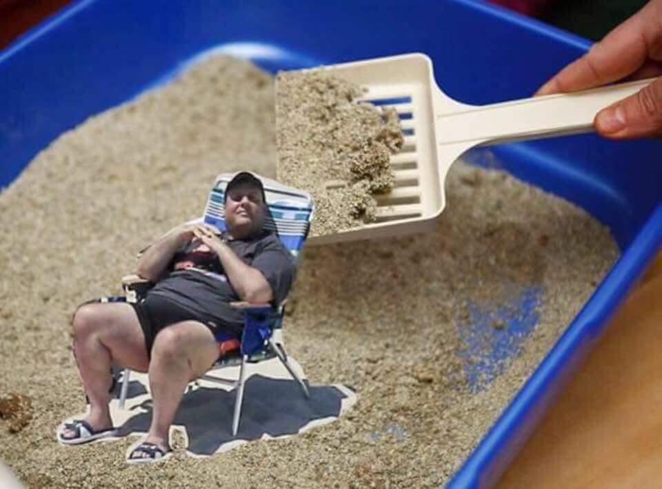 Christie Cat Box, Chris Christie Beach chair meme, Mr. Local History 
