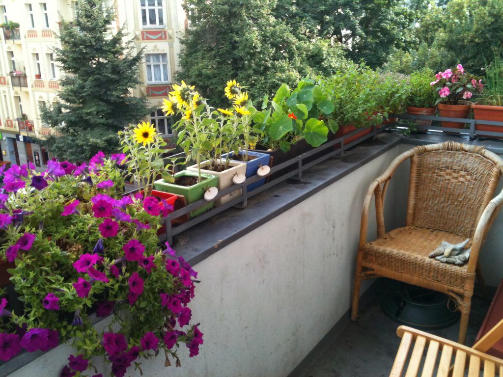balcony with flowers and herbs