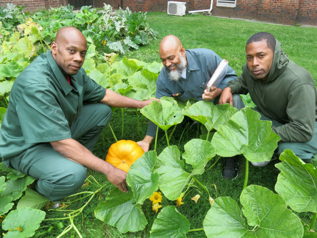 Prisoners in a prison garden project, Modern Farmer