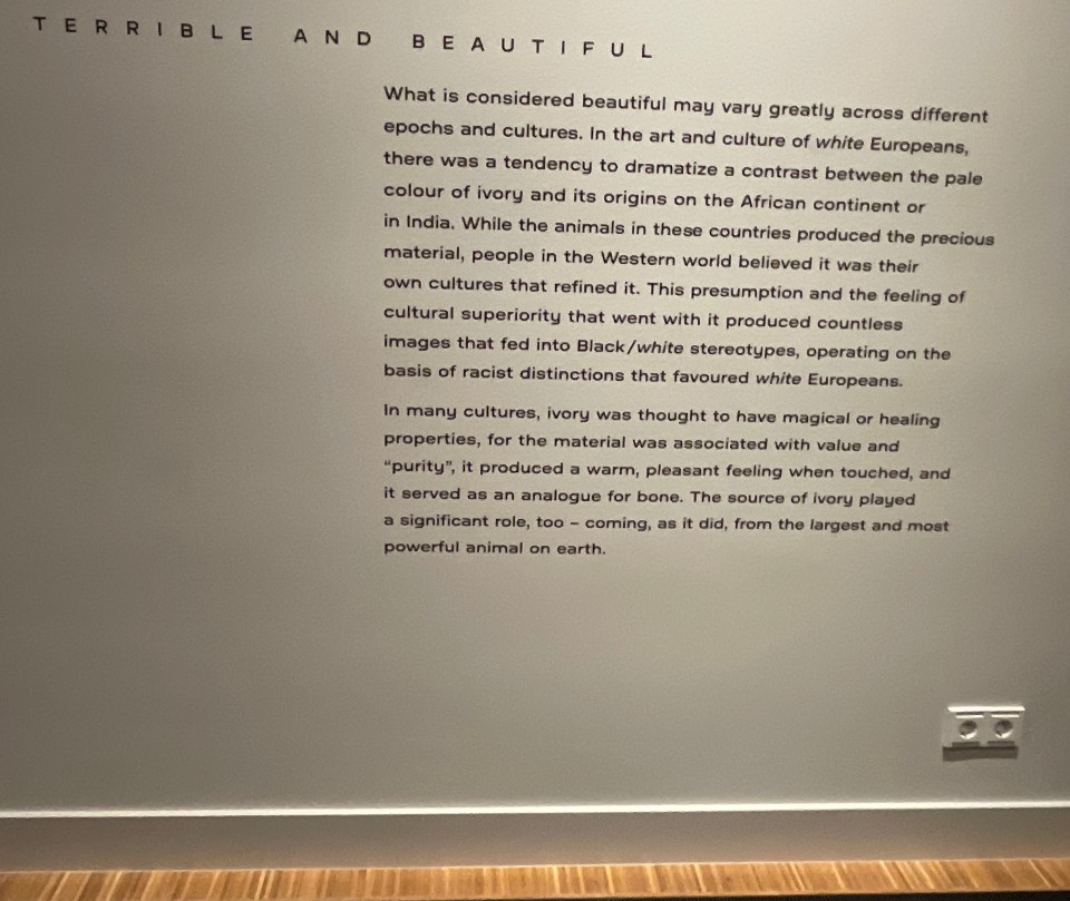 Exhibition text on wall, Terrible Beauty, Humboldt Forum